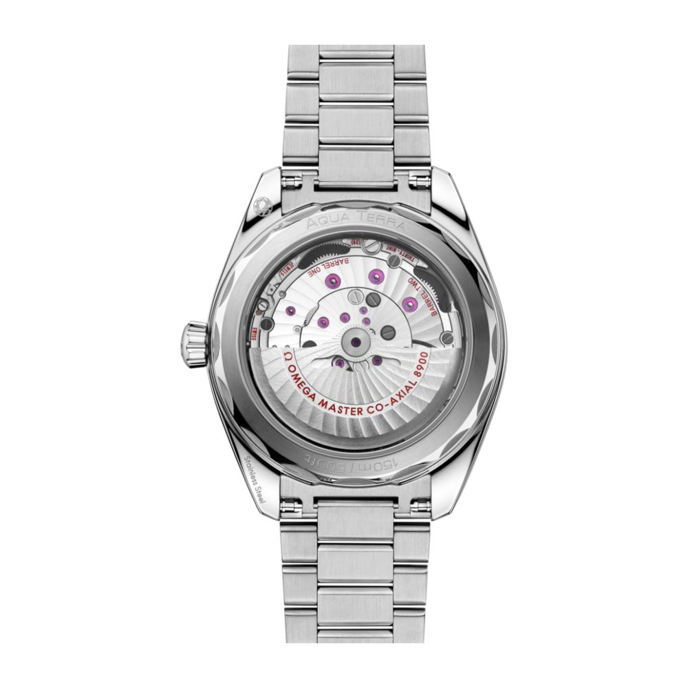 Omega Seamaster Aqua Terra sort 41 mm