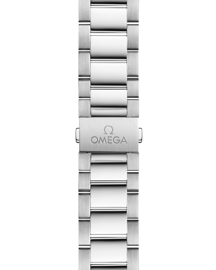 Omega Seamaster Aqua Terra 150 m Master Chronometer 41 mm Sølv